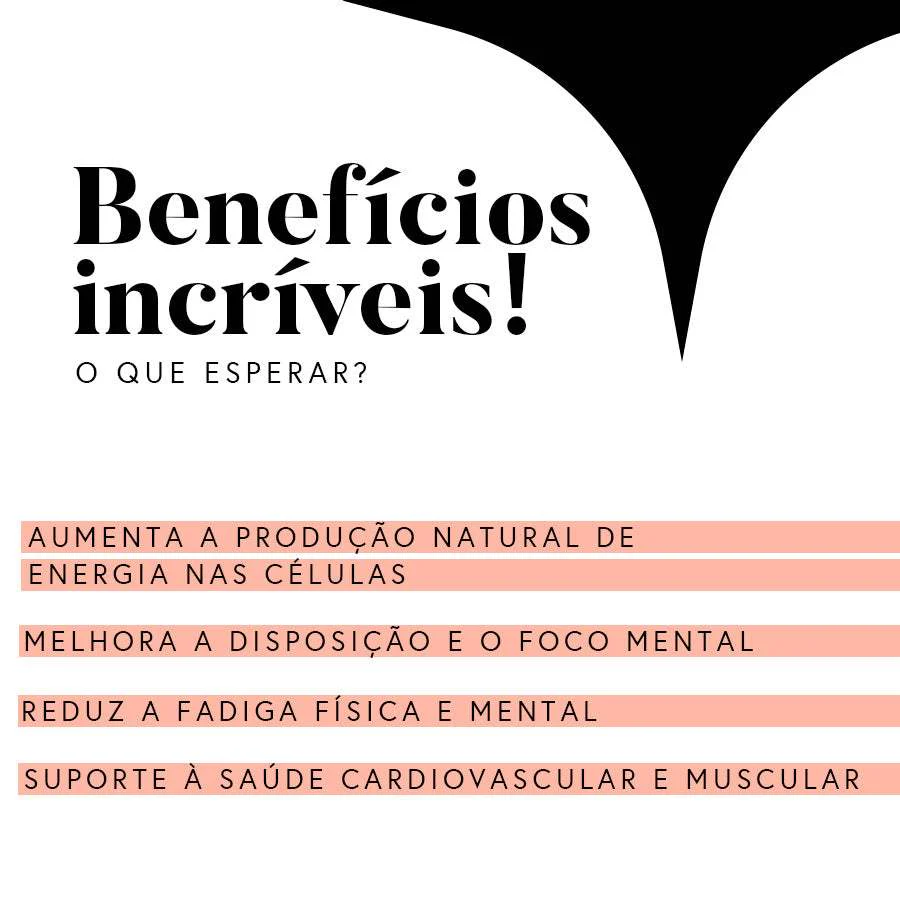 Miniatura 12