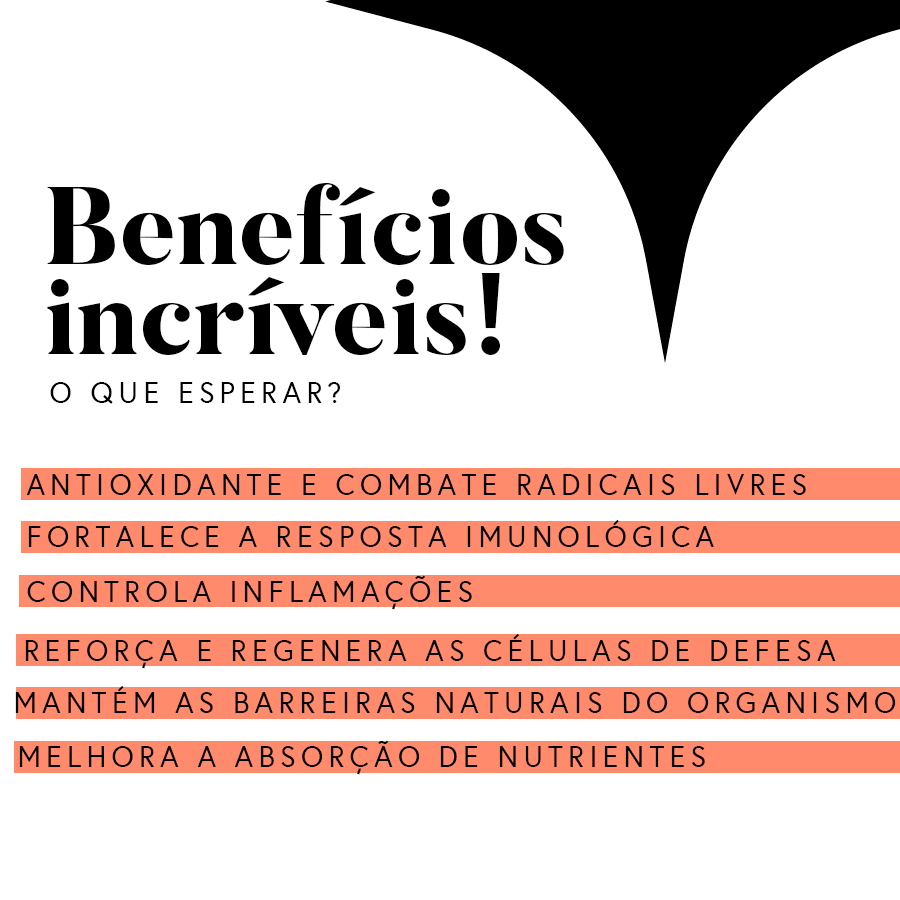 Miniatura 14